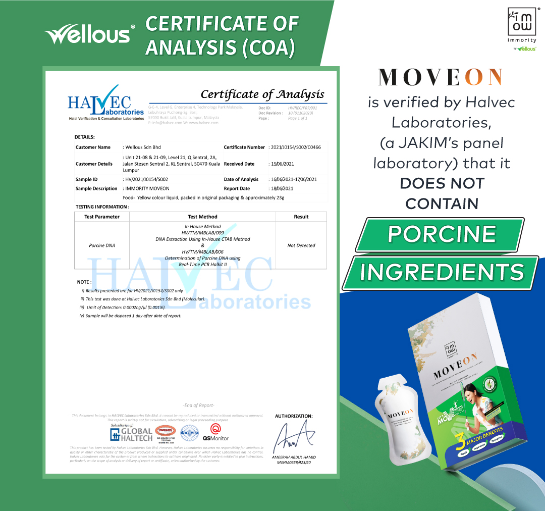 MOVEON_Halvec-certificate_EN